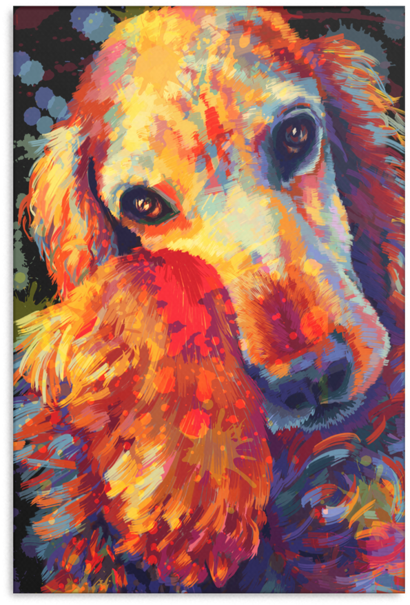 Cocker Spanier Canvas Wrap 1603-6 - Cocker Spaniel (900x900), Png Download