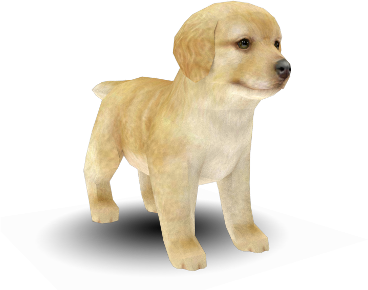 22023 - Nintendogs And Cats White Golden Retriever (750x650), Png Download