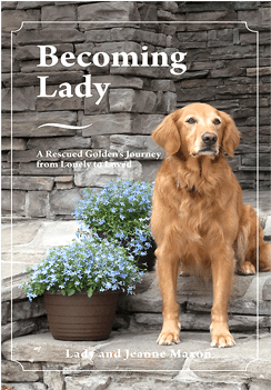 February 1 - Becoming Lady By Jeanne Maxon 9781634135160 (paperback) (720x350), Png Download