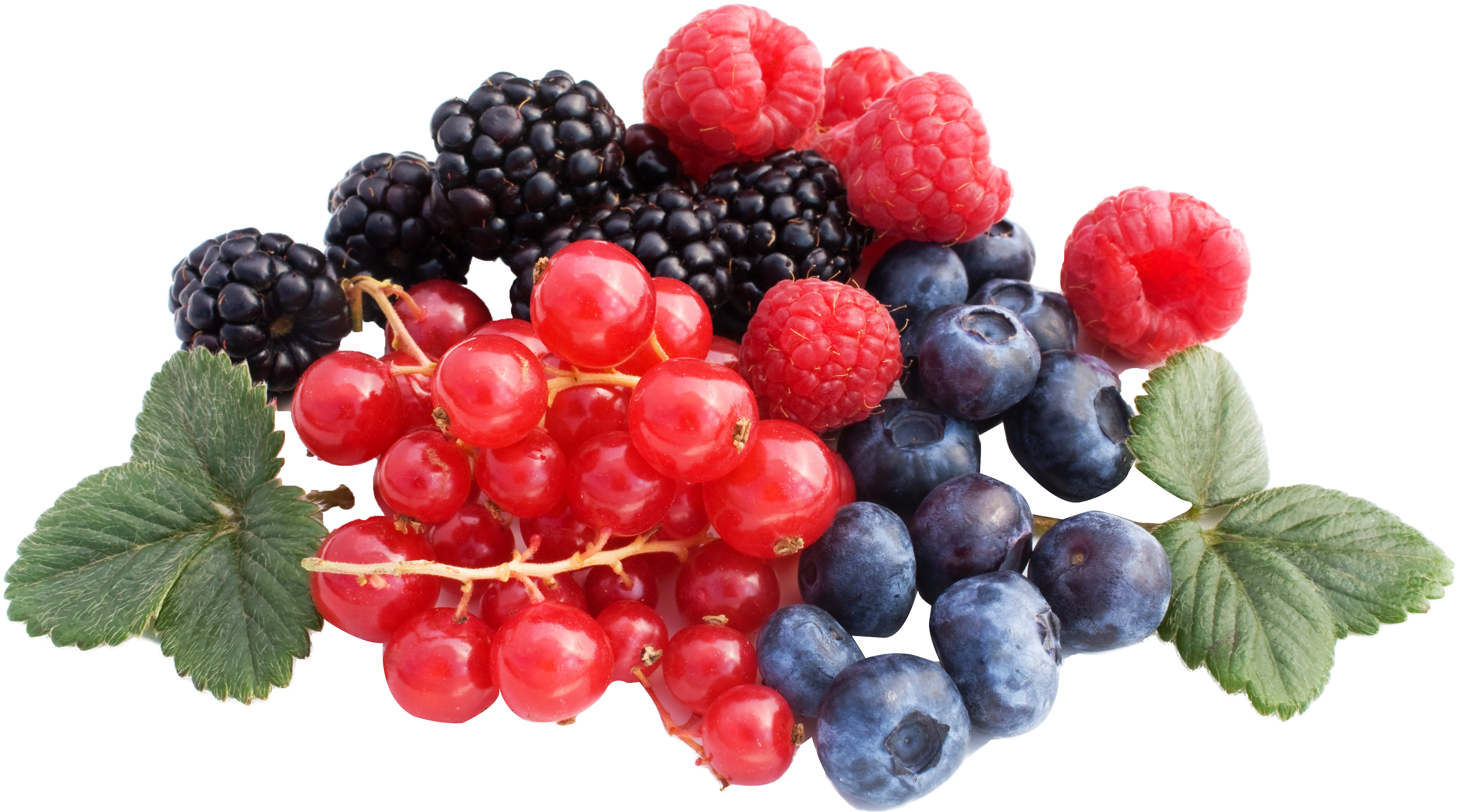 Download Berries Png Image - Berries Png (500x289), Png Download