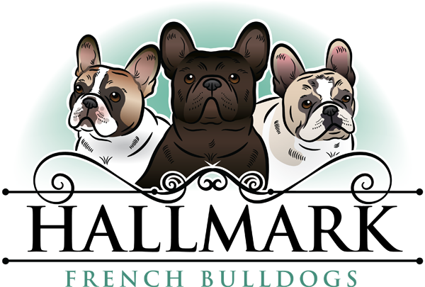 French Bulldog Logo Png (600x405), Png Download