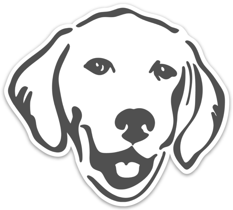 Golden Retriever Sticker - Golden Retriever (787x710), Png Download