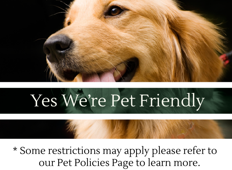 Golden Retriever 01 - Golden Retriever Greeting Card (750x550), Png Download