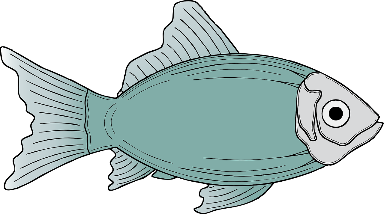 Generic Fish Clip Art - Fish Clipart (600x335), Png Download