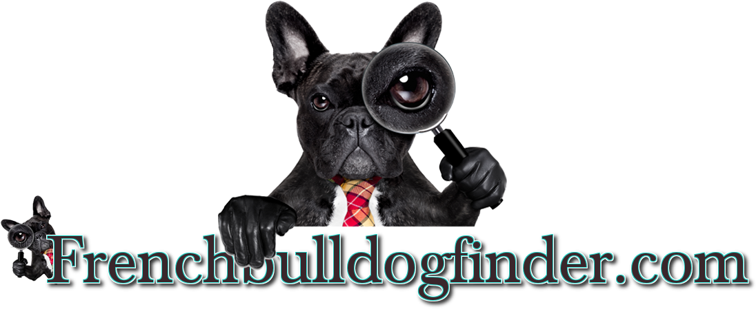 French Bulldog Ad Listing - Coque Souple Pour Samsung Galaxy Tab 4 10-1 Avec Impression (1360x468), Png Download