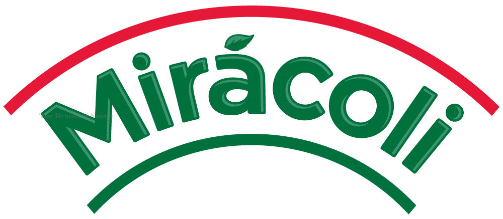 Mirácoli Is A German Brand For Pasta-based Convenience - Kraft Miracoli Spaghetti With Tomato Sauce (1000x437), Png Download