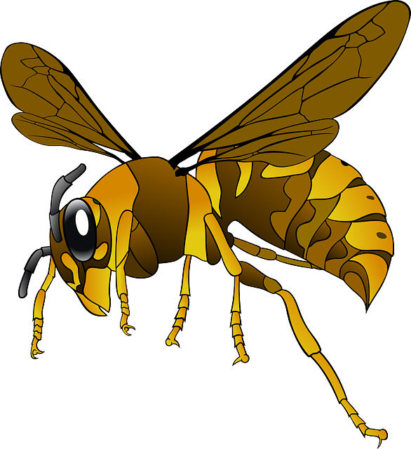 Hornet, Wasp, Insect, Bee, Brown, Yellow, Wings - Clipart Hornet (586x640), Png Download