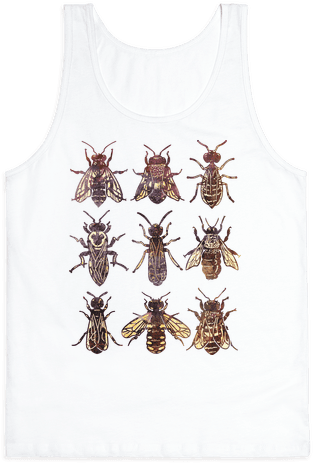 Bee Species Tank Top - T-shirt (484x484), Png Download