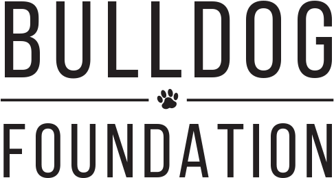 Bulldog Foundation (500x285), Png Download