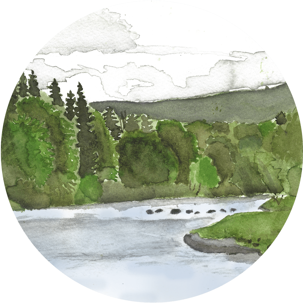 Our Vision - Goal (1000x1000), Png Download