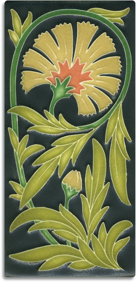 Carnation, Gold Salmon - Tile (1000x1000), Png Download