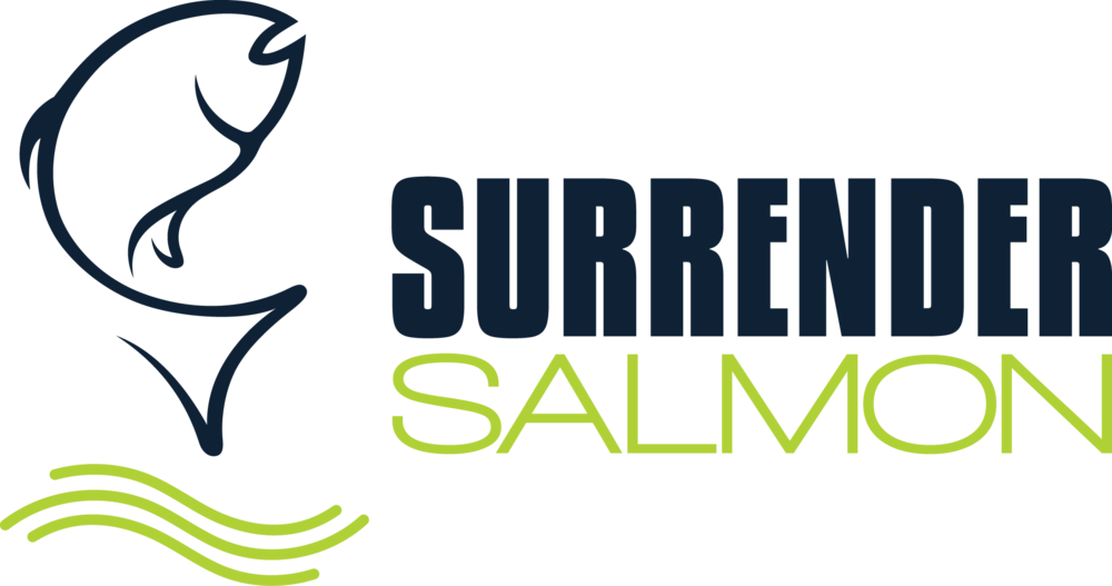 Surrendersalmon Brand-02 Format=1000w (1000x527), Png Download