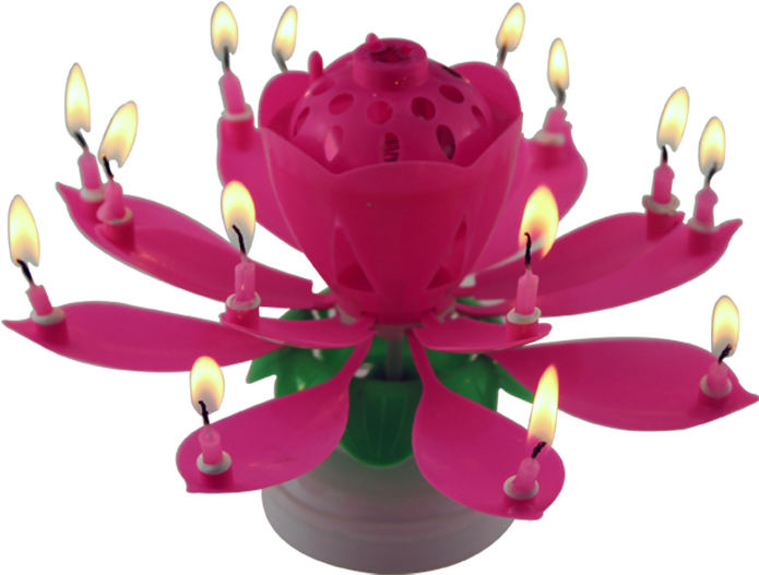 Top-seller Amazing Singing Opening Lotus Flower Candle - Birthday (851x851), Png Download