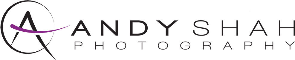 Logo - Desi Photography Logo Png (1000x250), Png Download
