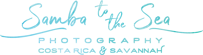 Samba To The Sea Photography - Calligraphy (750x273), Png Download