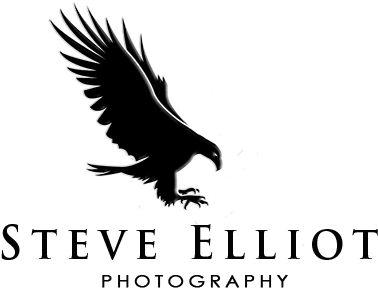 Logo Logo Logo - Logo (385x335), Png Download