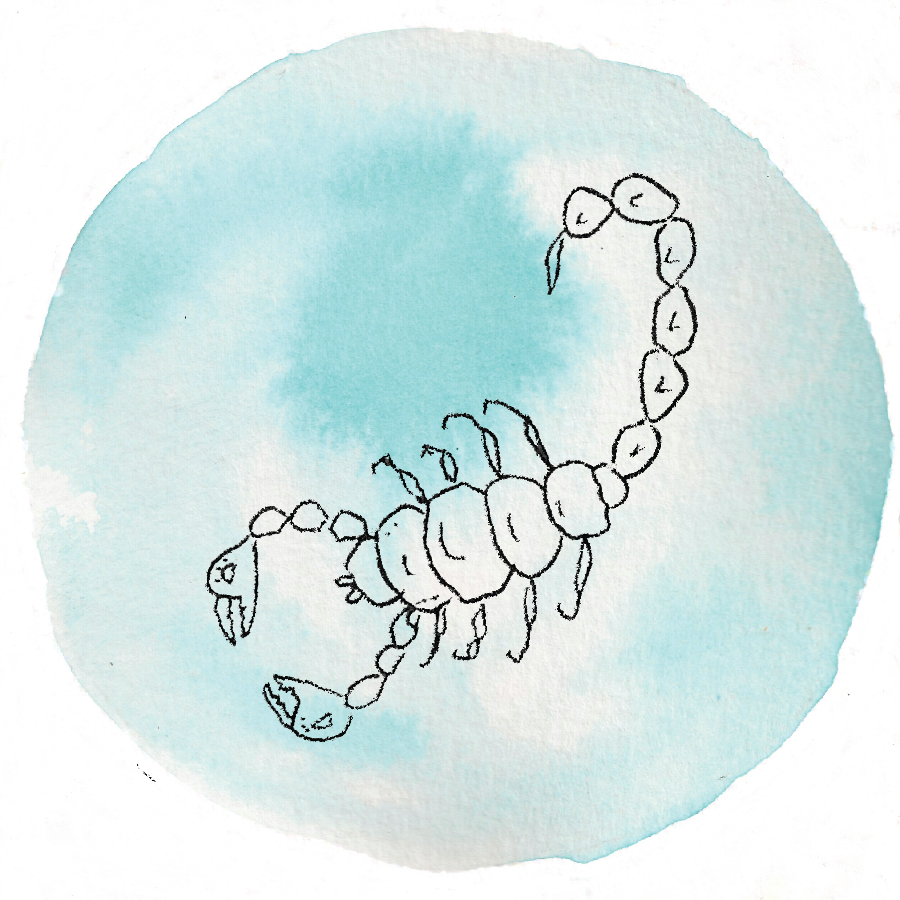 Scorpio - Plate (900x900), Png Download