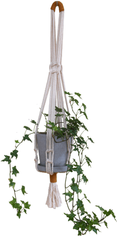 Modern Macrame Planter Hanger - Macrame Plant Hanger Png (500x500), Png Download