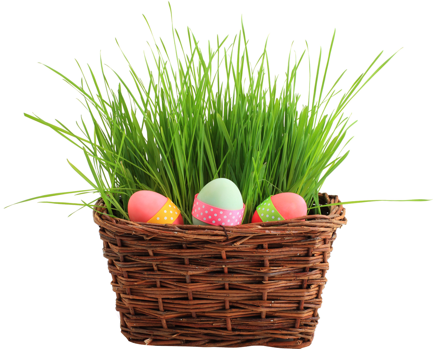 Easter Egg Basket Png Transparent Image - Happy Belated Birthday Kay (1600x1303), Png Download