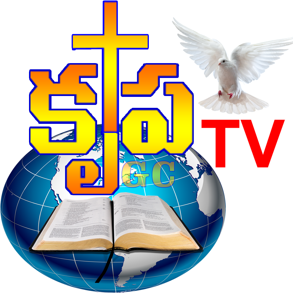 Please Pray For This Television Ministry To Spread - Wallmonkeys Wall Decals Wallmonkeys A Free Flying White (1127x1064), Png Download
