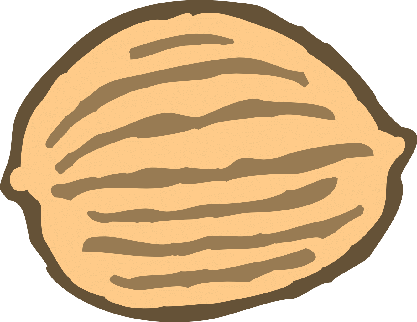 Peanut Clipart Thing - Nut Clip Art (800x617), Png Download