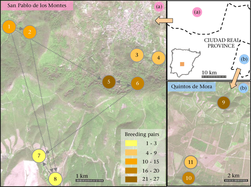 Map Of The Study Area Including The Location Of The (850x635), Png Download