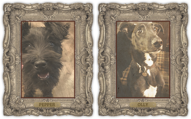 City Tavern Bar Hounds (984x409), Png Download