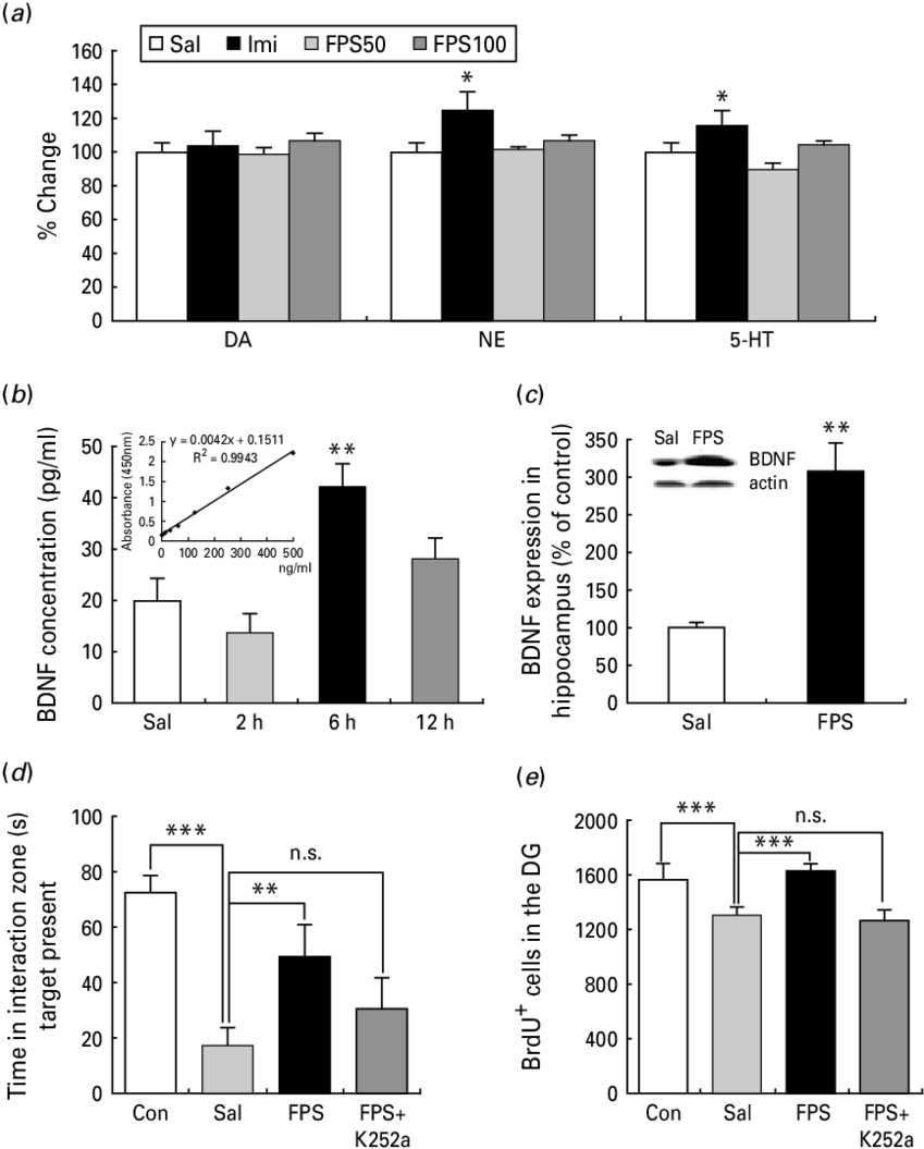 Bdnf Is Necessary For The Behavioural And Neurogenic (850x1065), Png Download