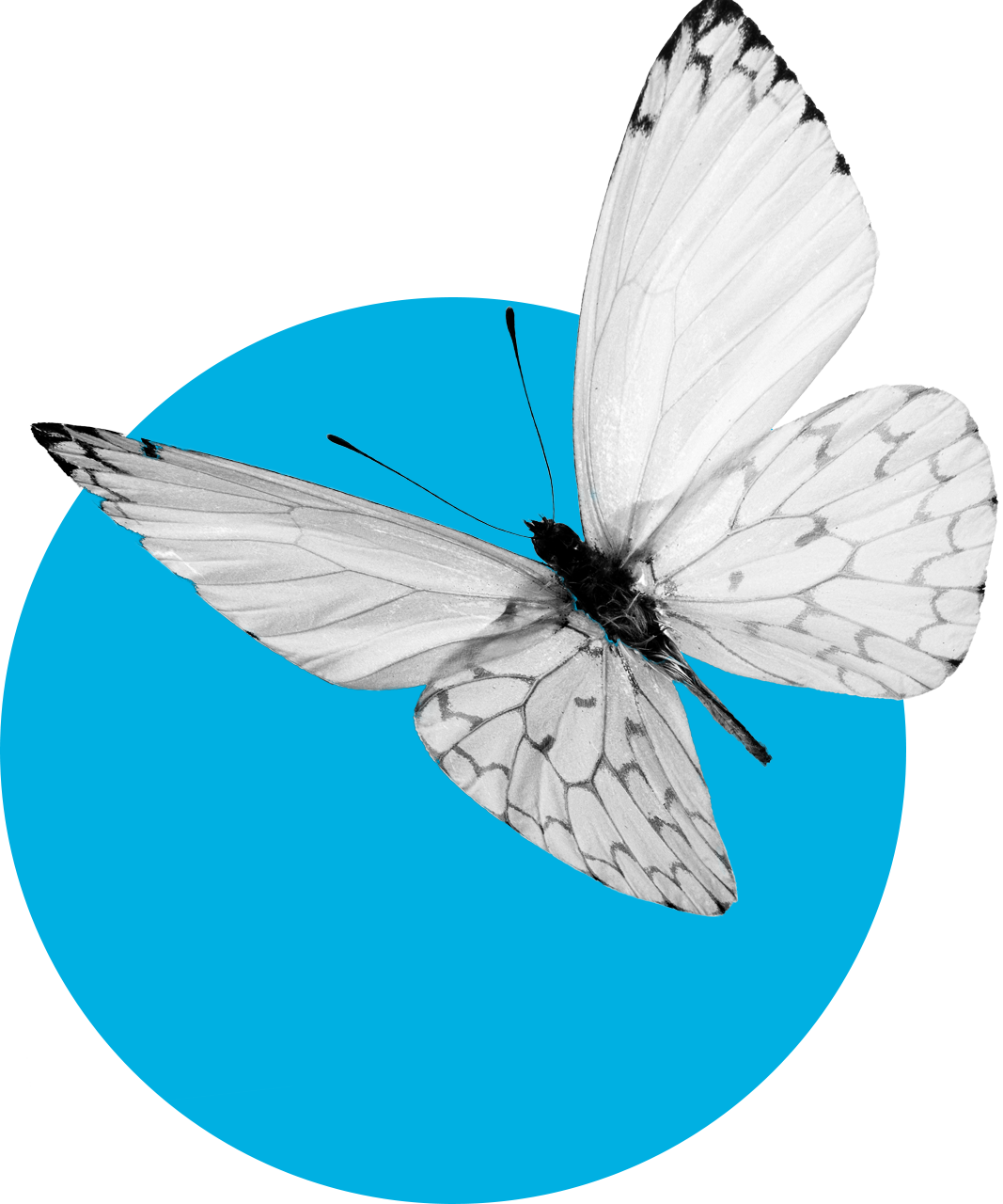 Interdependencies (1067x1280), Png Download