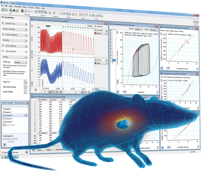 Blue Beetle Png (768x705), Png Download