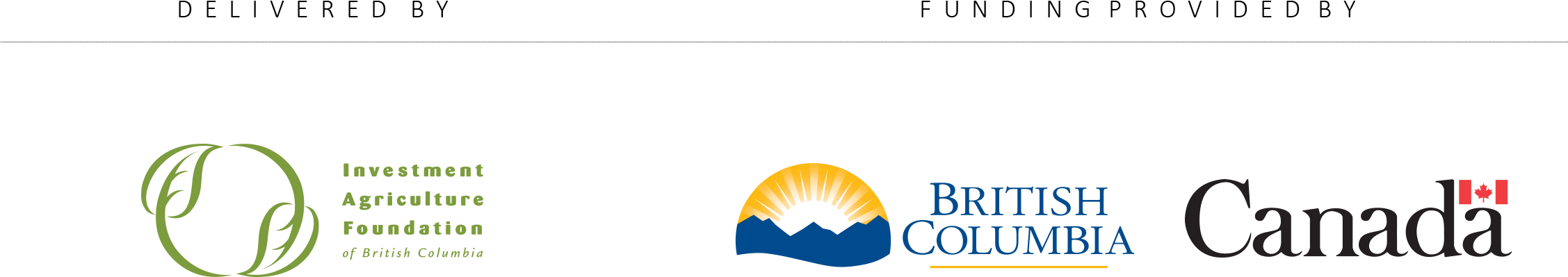 Download The Japanese Beetle Car Decal Here (2550x600), Png Download