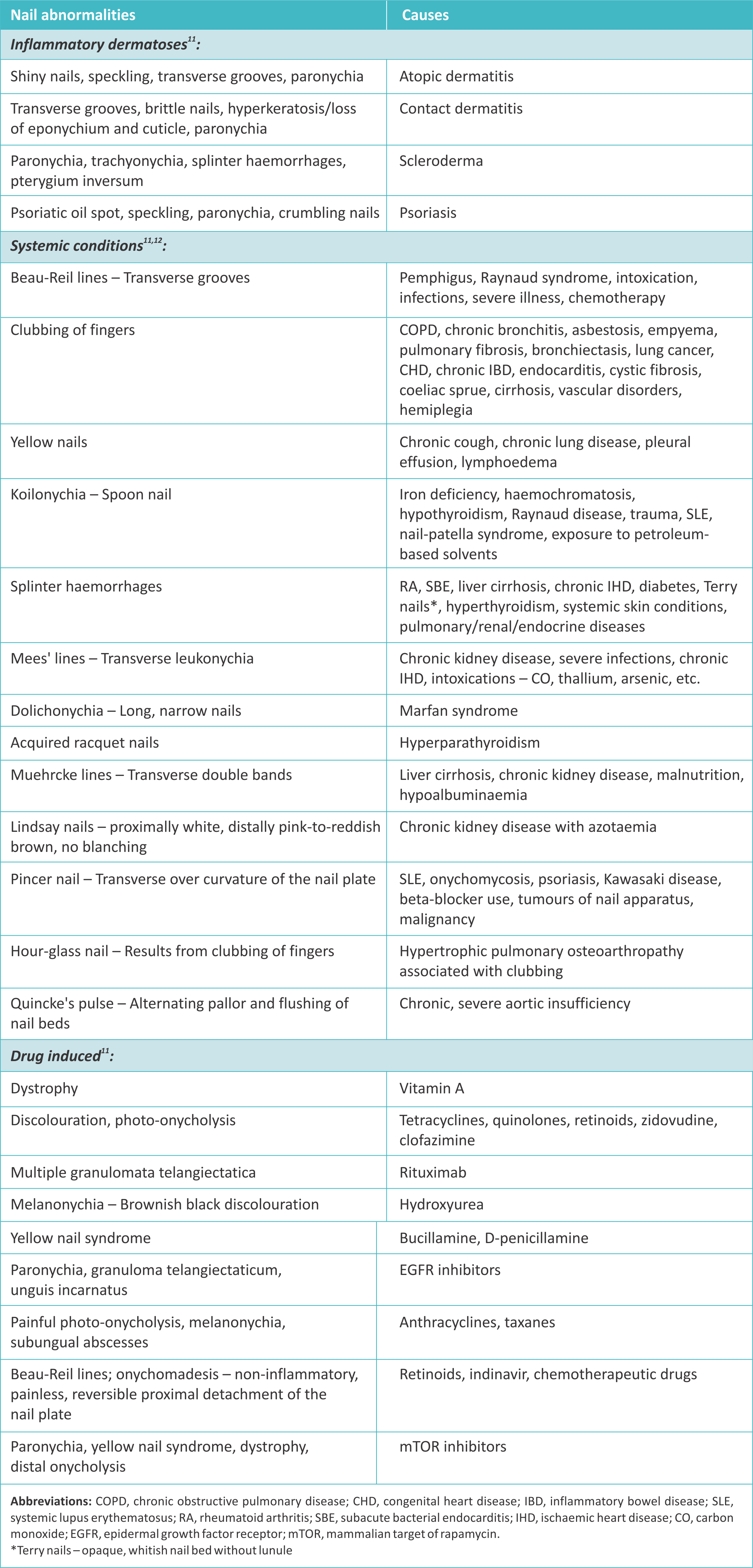 Differential Diagnosis In Skin Conditions (2102x4377), Png Download