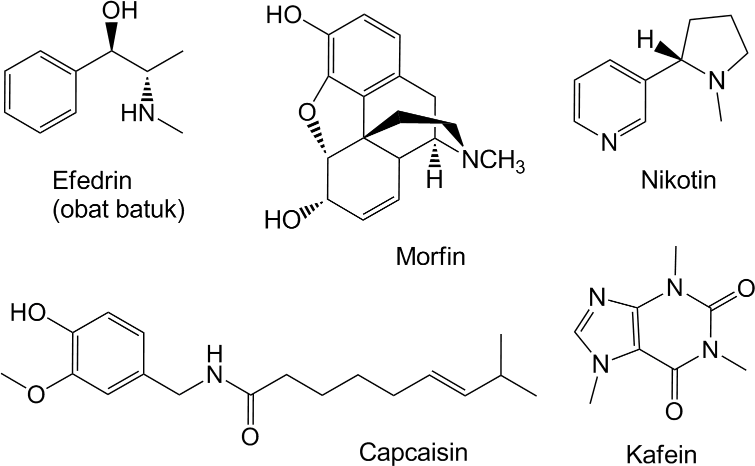 Because The Caffeine Extraction Using Ethanol A More (1528x956), Png Download