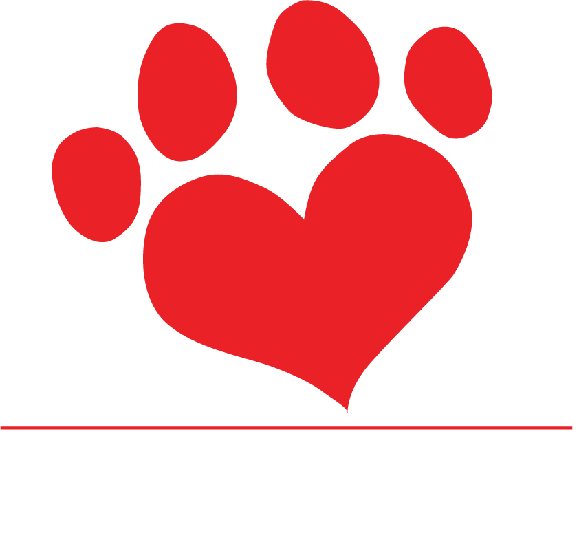 Latest Facebook Post (842x788), Png Download