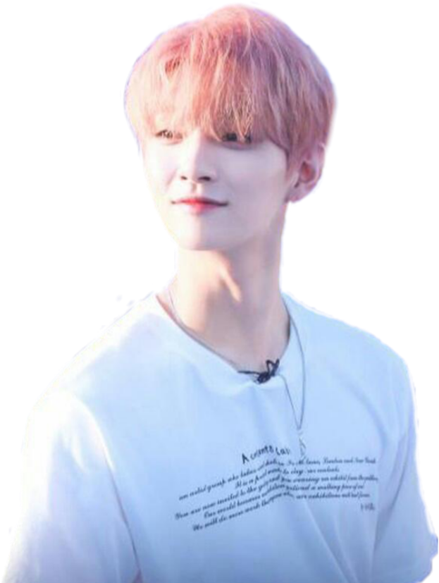 Joshua Hong Seventeen Kpop Aesthetic Carat Png Seventeen (854x917), Png Download