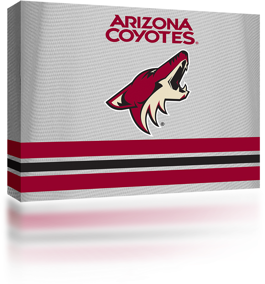 Phoenix Coyotes Logo (1024x1024), Png Download