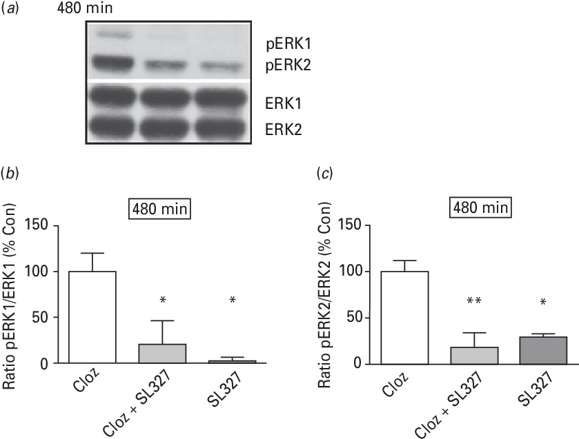 The Effect Of The Mek Inhibitor Sl327 On Clozapine-induced (839x646), Png Download
