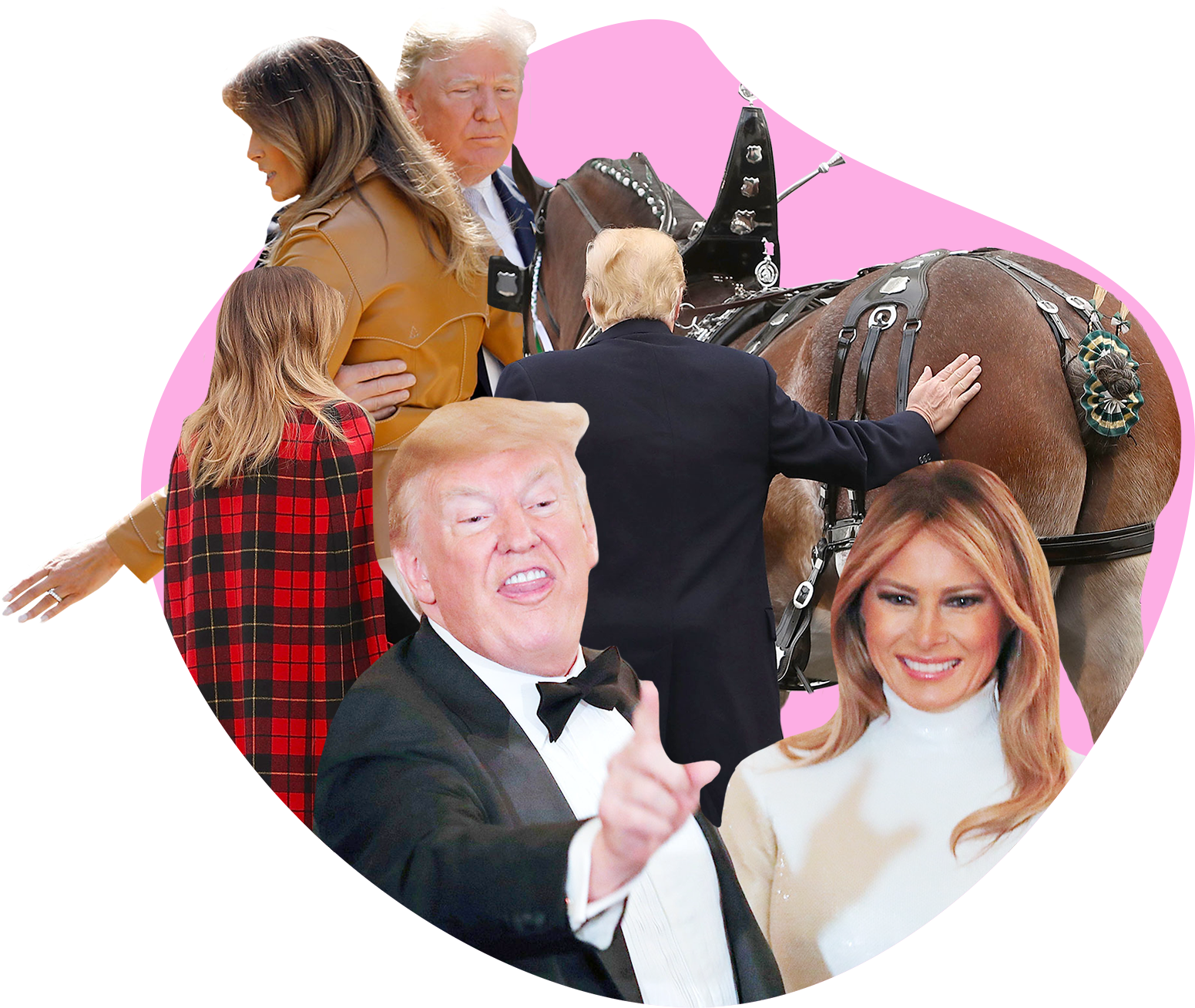 In Honor Of Donald And Melania's Wedding Anniversary, (2000x1334), Png Download
