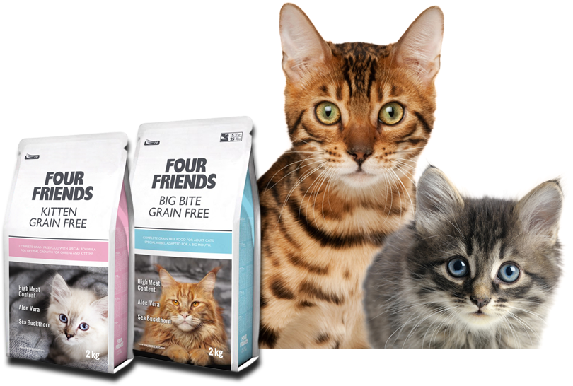 Premium Quality Cat Food (940x570), Png Download