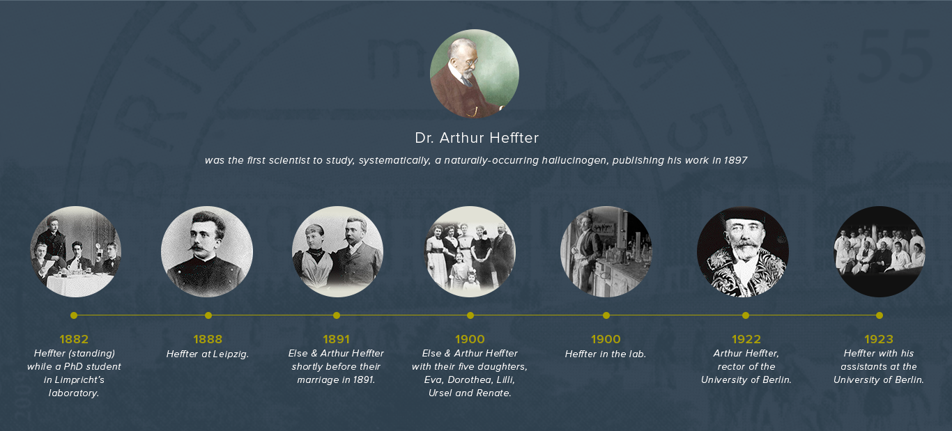 Arthur Heffter (1366x619), Png Download