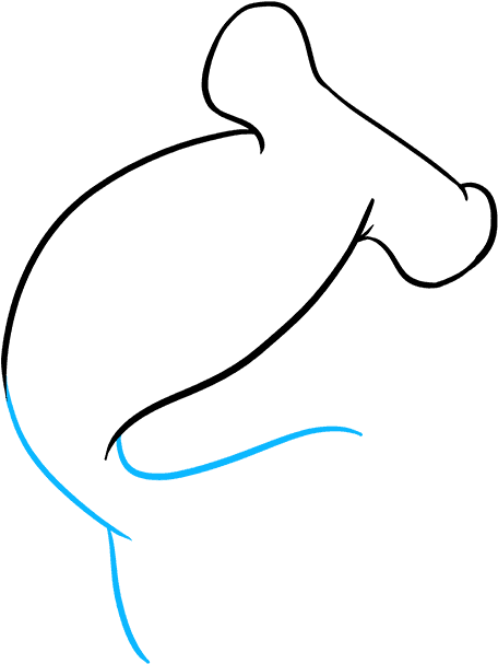 How To Draw Hammerhead Shark (680x678), Png Download