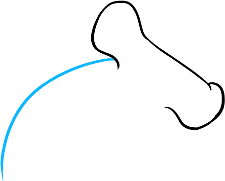 How To Draw Hammerhead Shark (680x678), Png Download