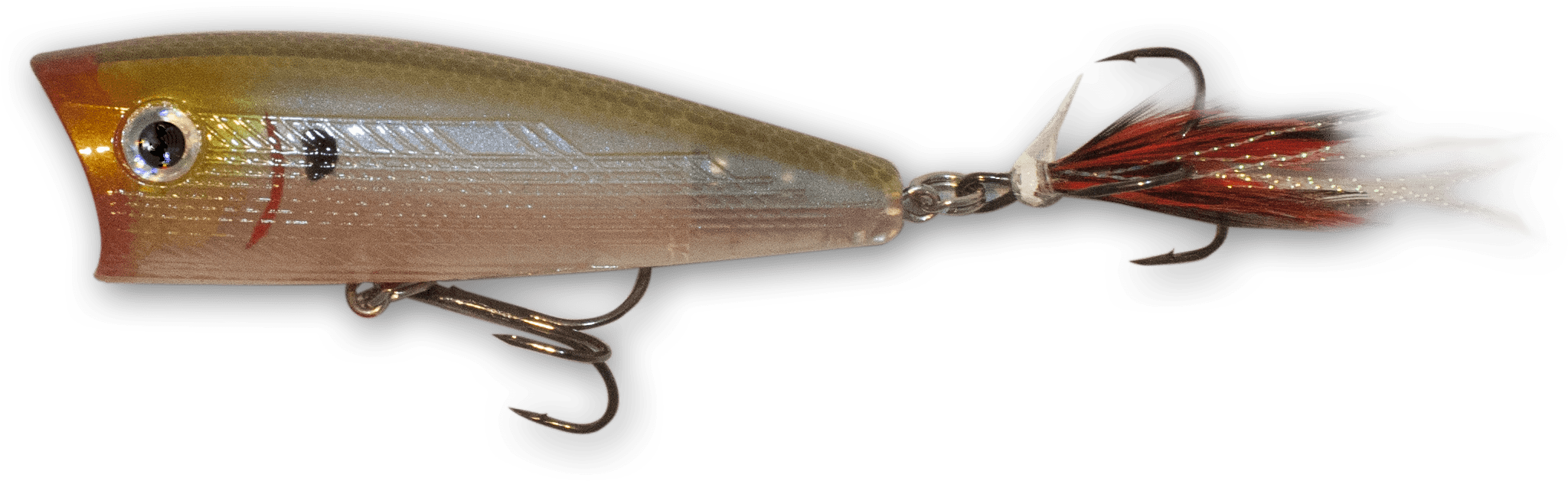 Bloody Ghost Minnow (2139x790), Png Download