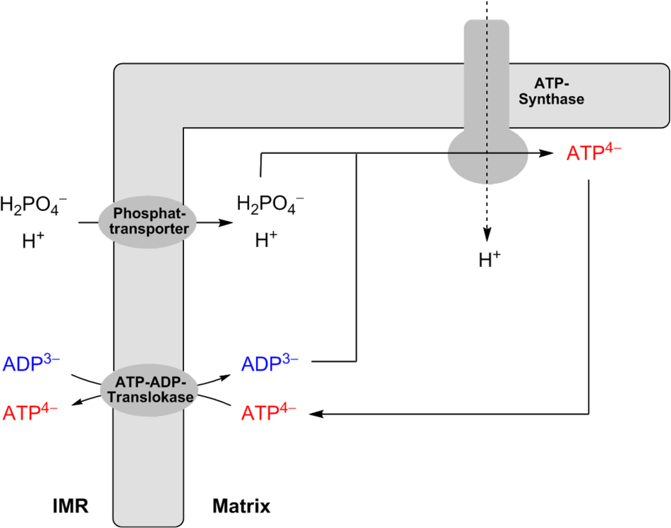 Adp Atp Shuttle (974x768), Png Download