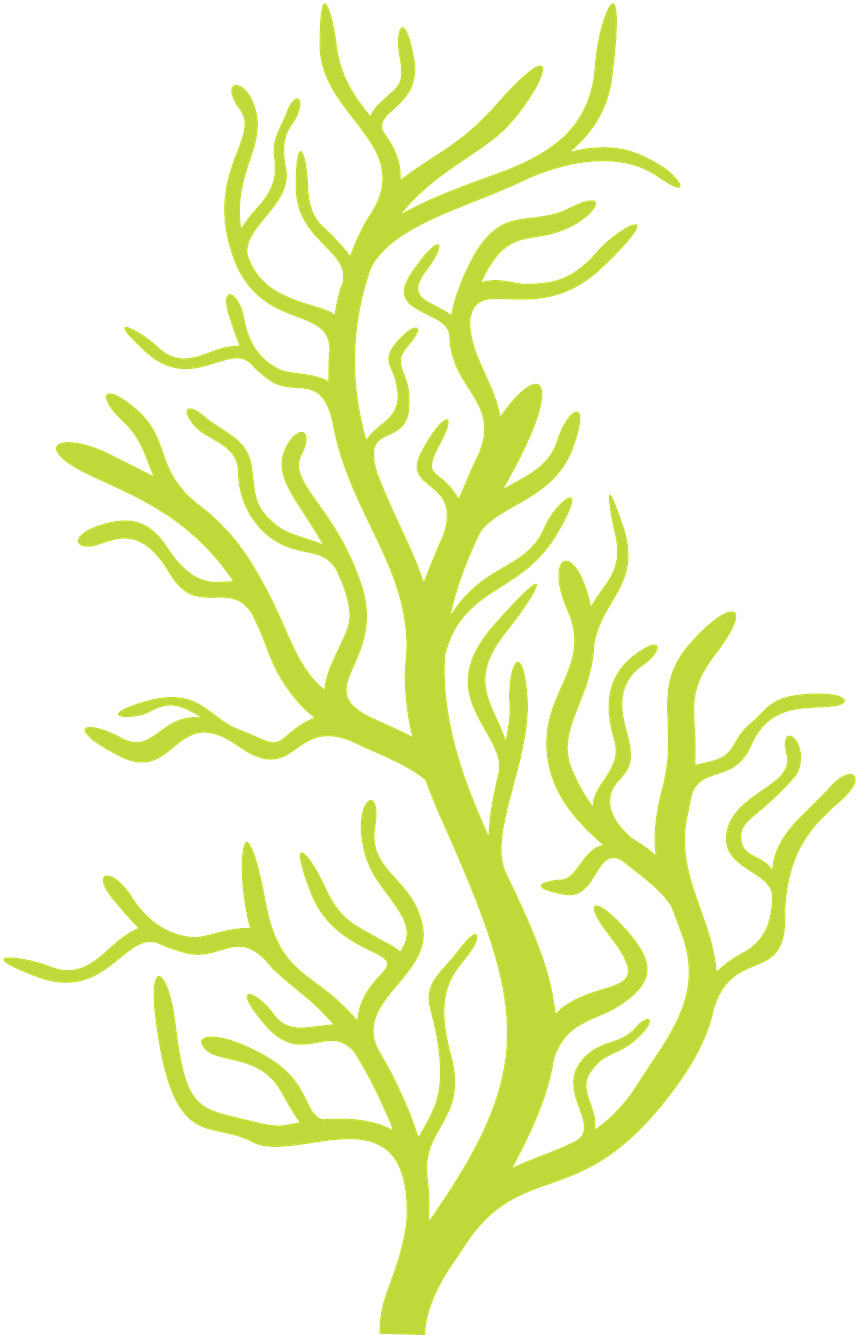 Vector Transparent Download Http Fazendoarte Minus (900x1381), Png Download