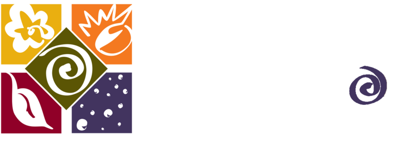 Ball State Logo Png (1000x409), Png Download