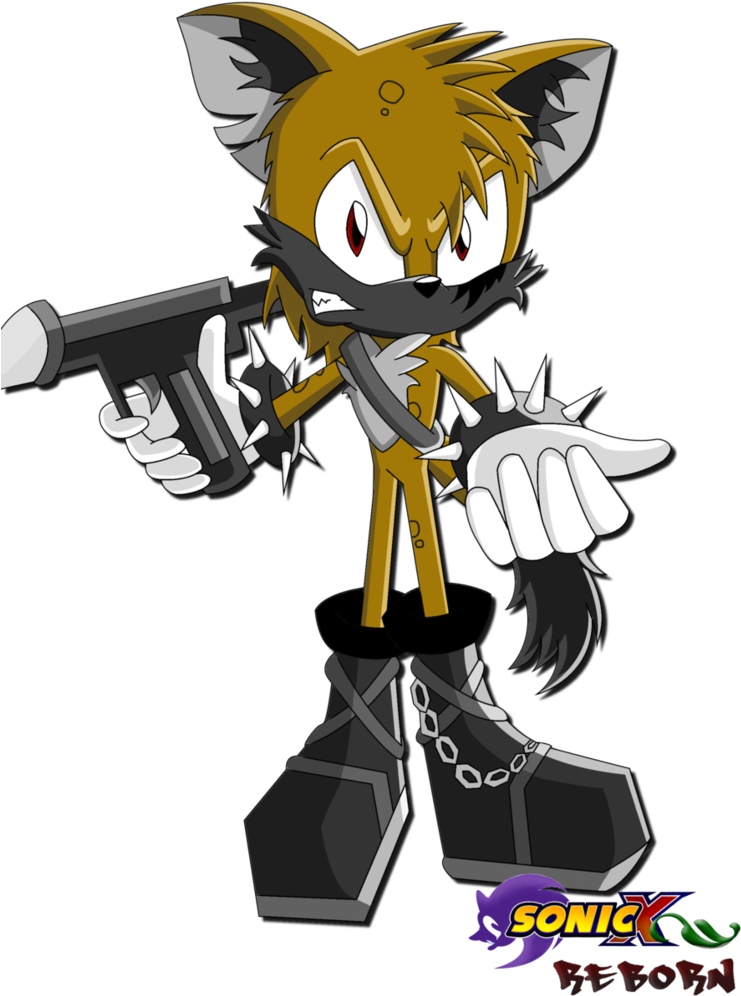 Blaise The Hyena Sonic X Reborn By Silverwolfgal1-d5g92pm (752x1063), Png Download