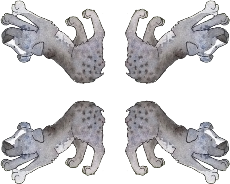 Hyena Png (800x646), Png Download