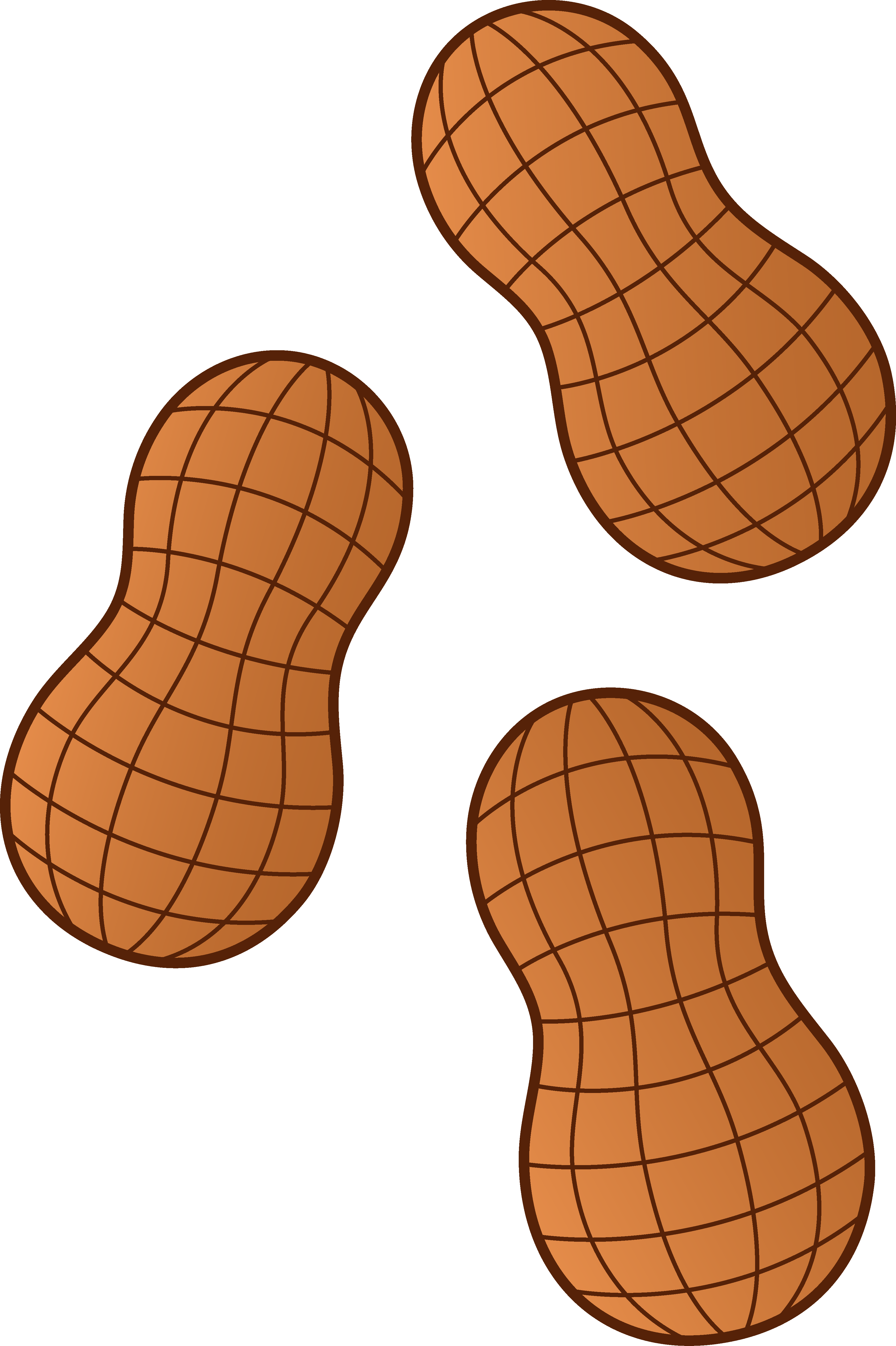 Transparent Peanut Clipart - Peanut Clipart (3567x5357), Png Download