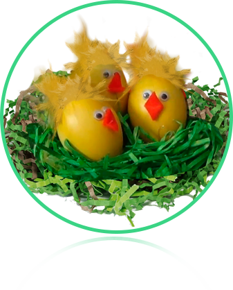 See What Is Included - Egg (337x418), Png Download